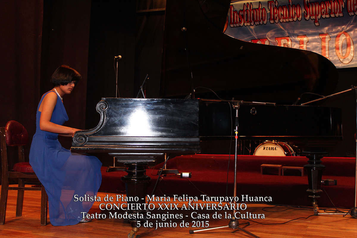 Concierto Casa de la Cultura 2015 — fotografía del evento