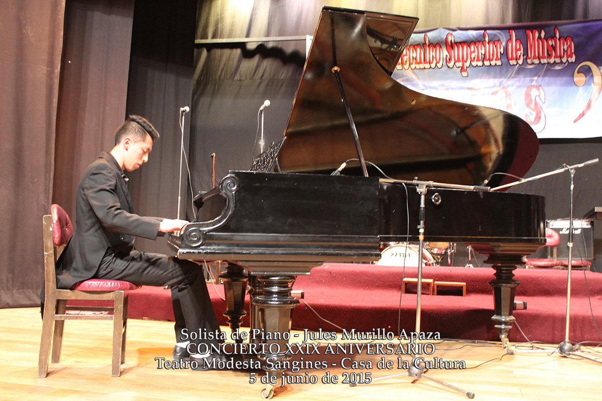 Concierto Casa de la Cultura 2015 — fotografía del evento